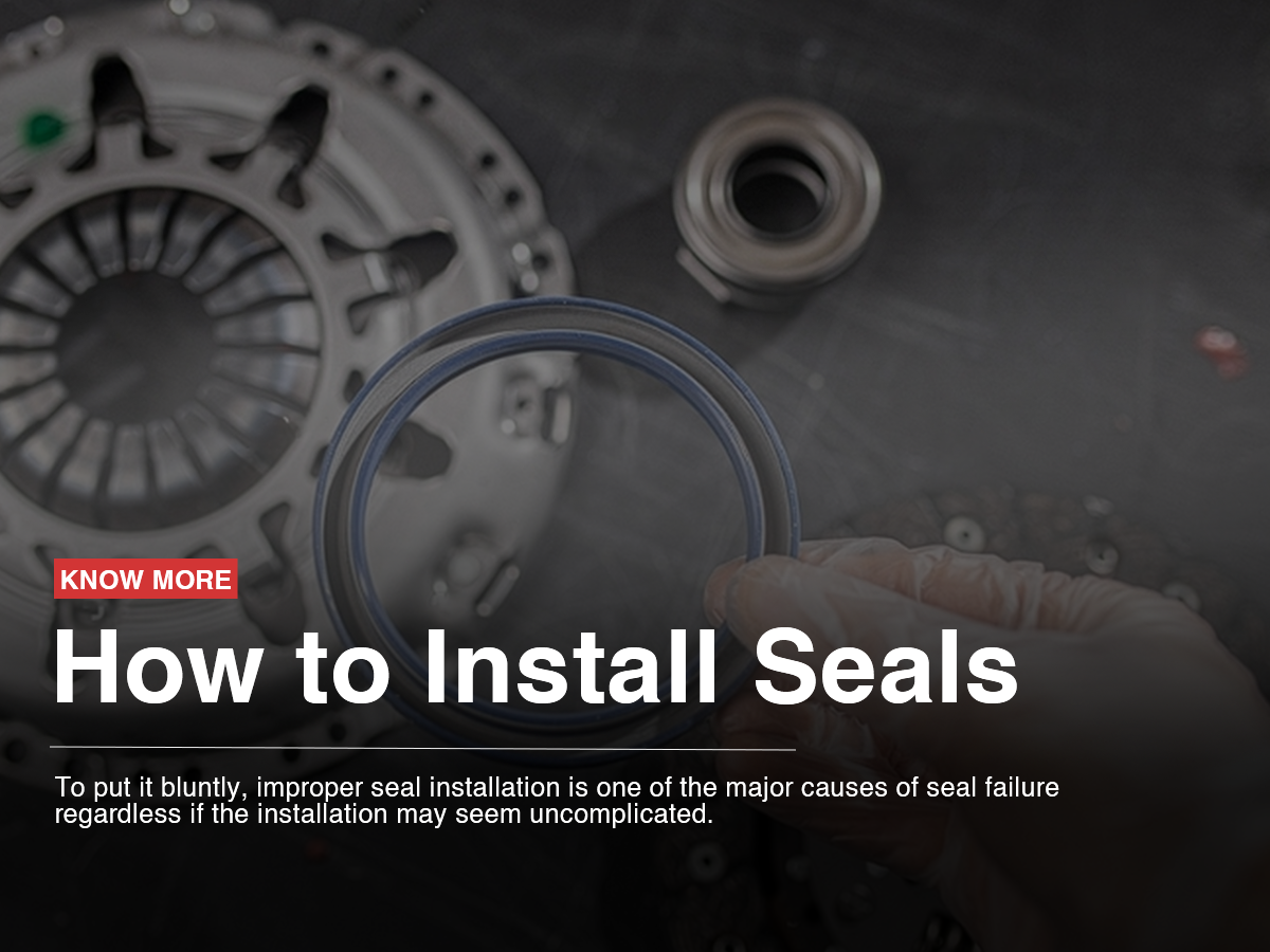 How to Install Seals?